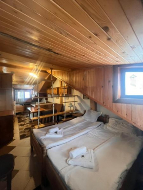 Dumanova house Bansko